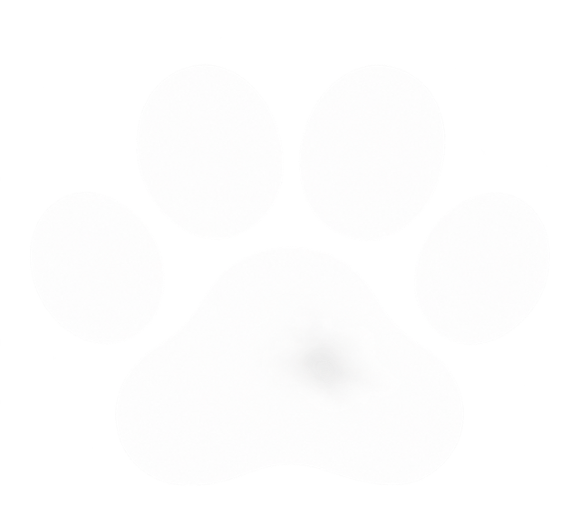 Paw